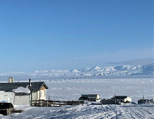 Snowy landscape