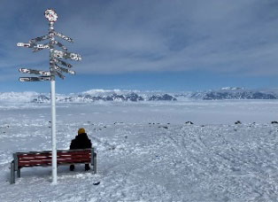 Snowy landscape