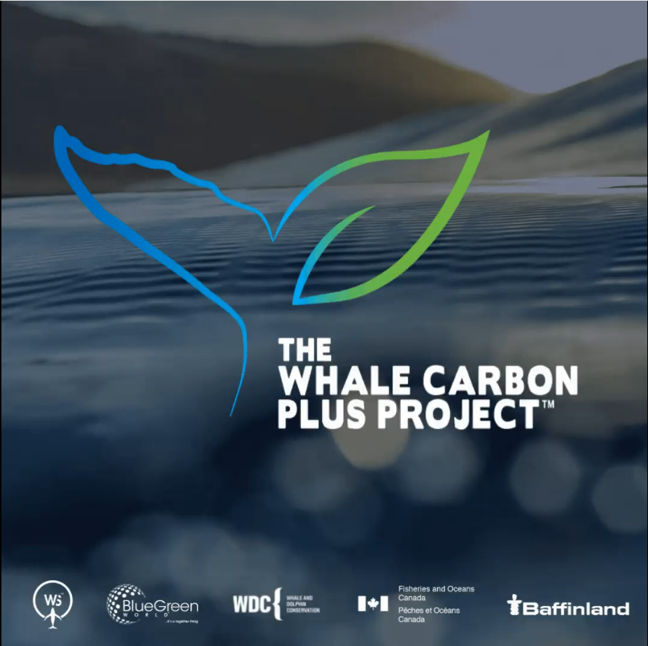 Carbon Project